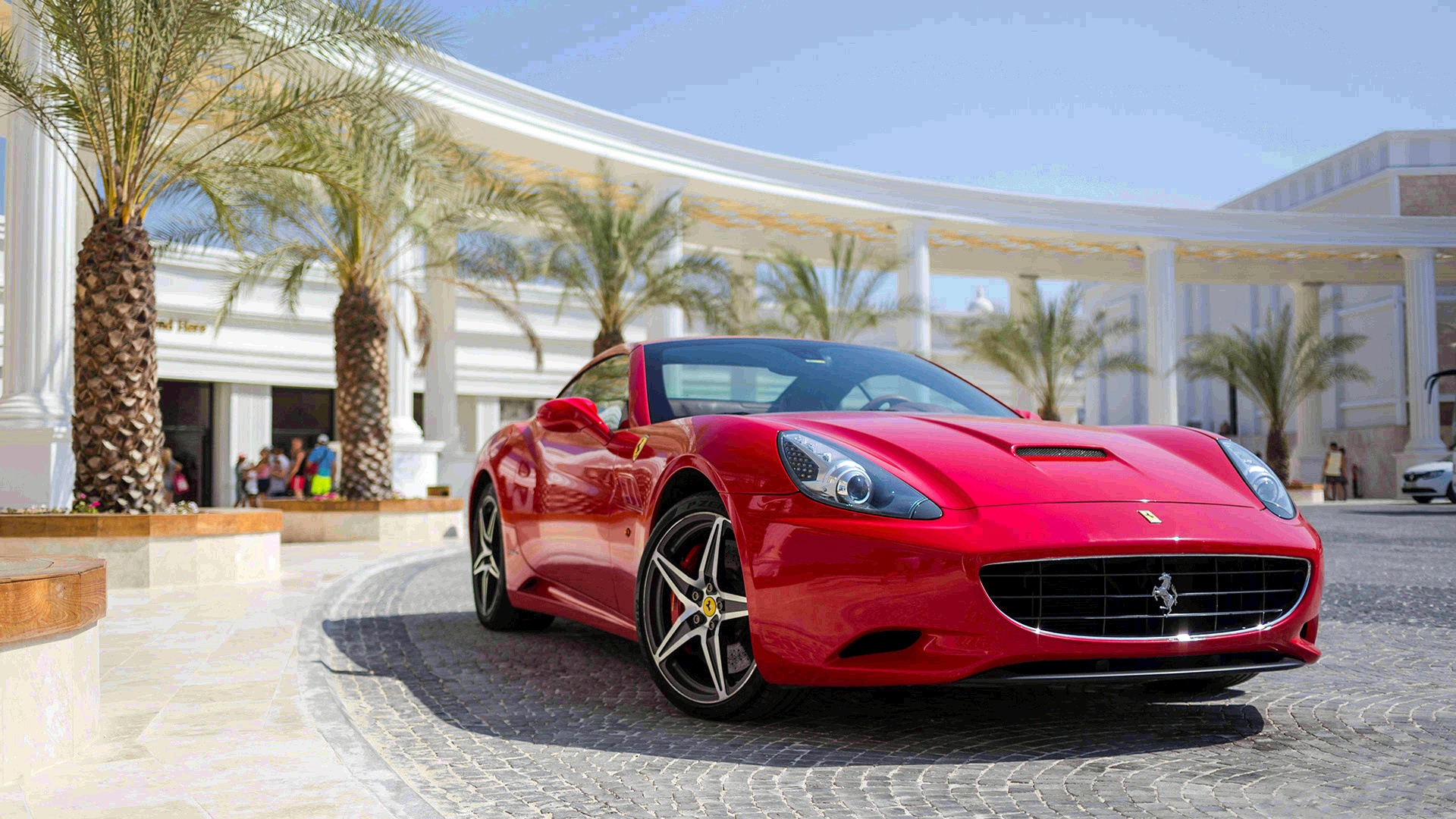 Car Rental Service in Dubai